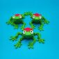 3x-frosch